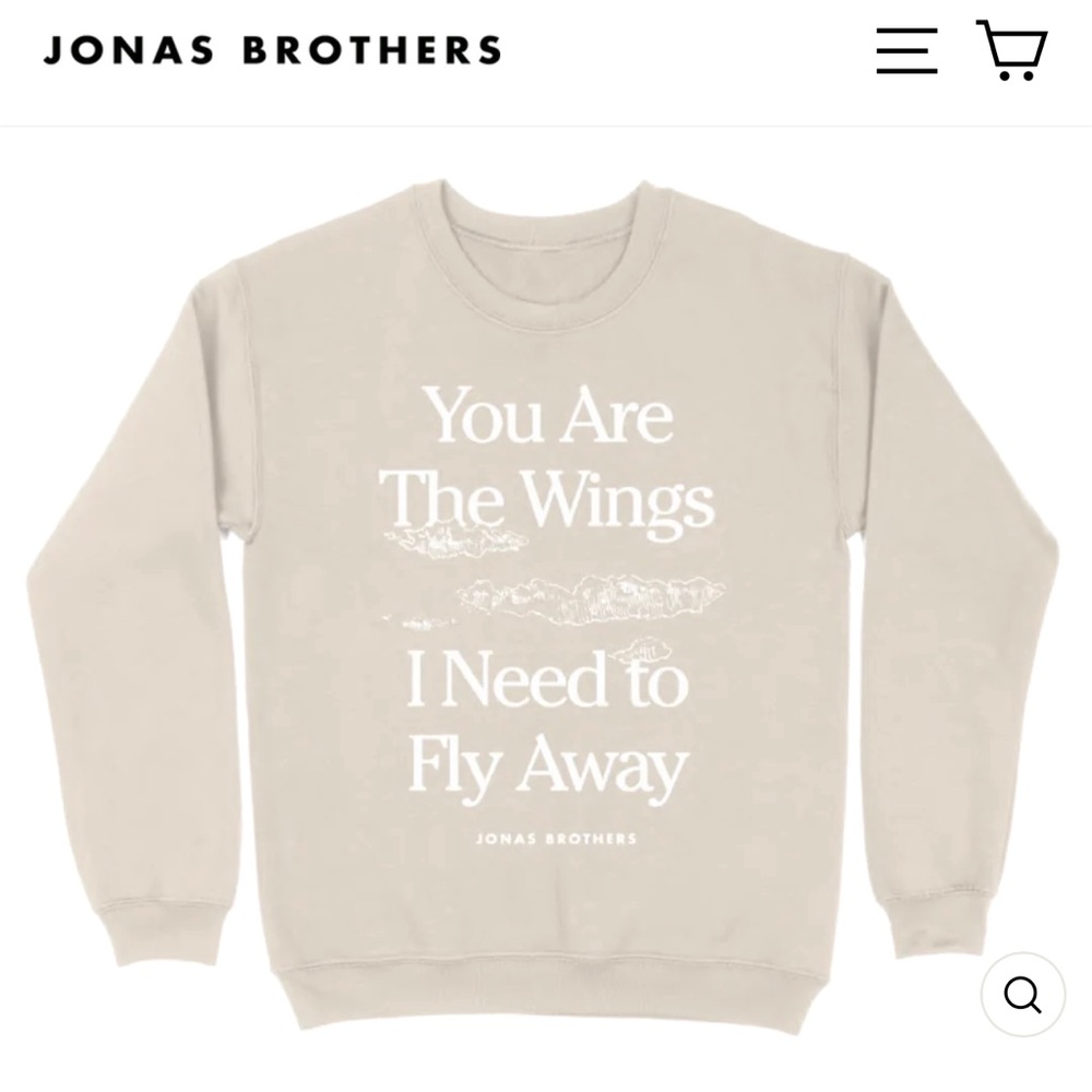 Jonas Brothers sweater
